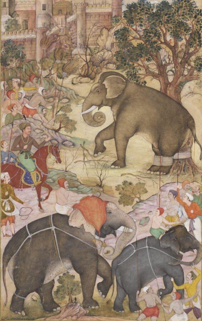 In Akbar's empire, the taming of a wild elephant was a long and arduous process.